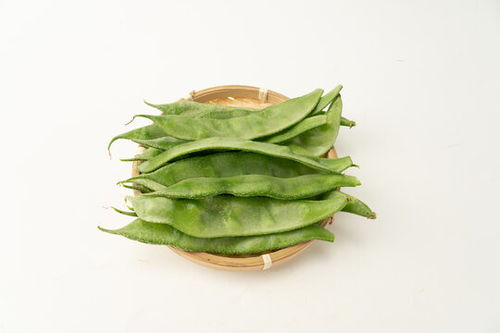 新鲜四季豆图片素材下载 提升餐饮与零售视觉营销的优选