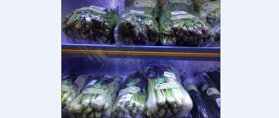 焦作济源佳家生活用品配送 河南经济实惠的有机蔬菜供应与零售之选