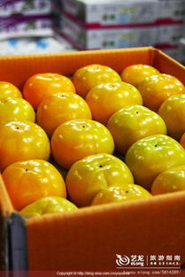 它有多可乐——当新鲜蔬菜零售遇上健康生活新风尚