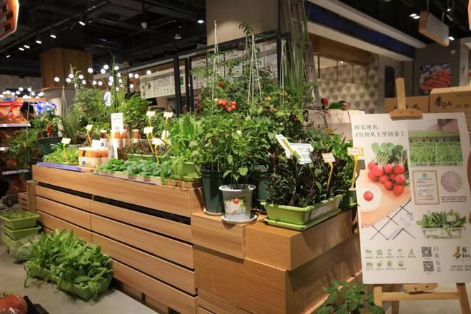 苏鲜生山东首店正式落户济南经四万达，掀起新鲜蔬菜零售新浪潮