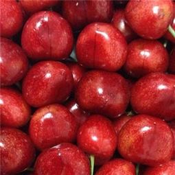 鲜果果加盟可靠吗？从新鲜蔬菜零售视角的深一度剖析